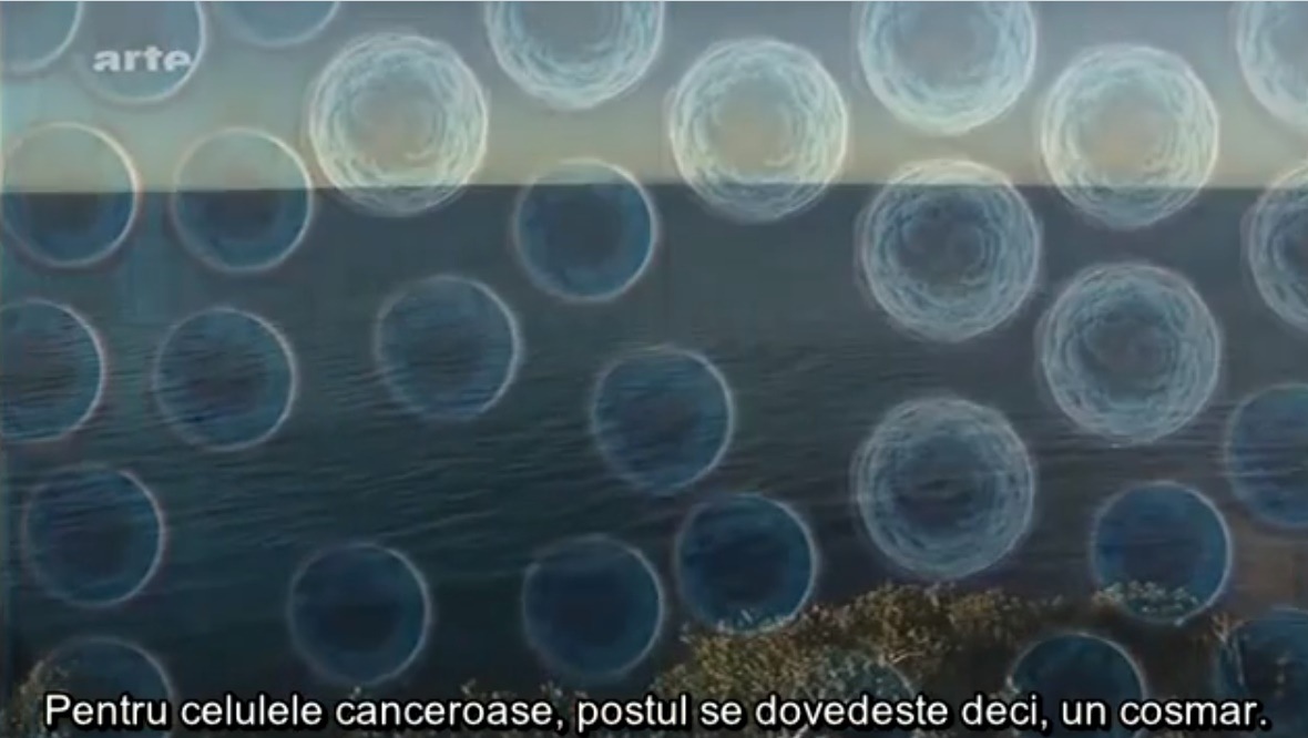 Postul cu apă reduce efectele negative ale chimioterapiei